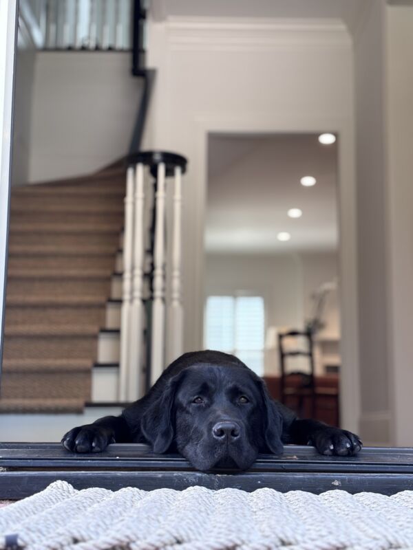 Otis
