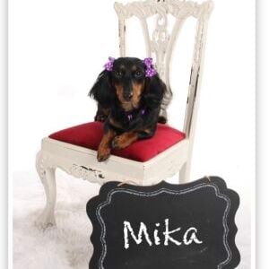 Mika