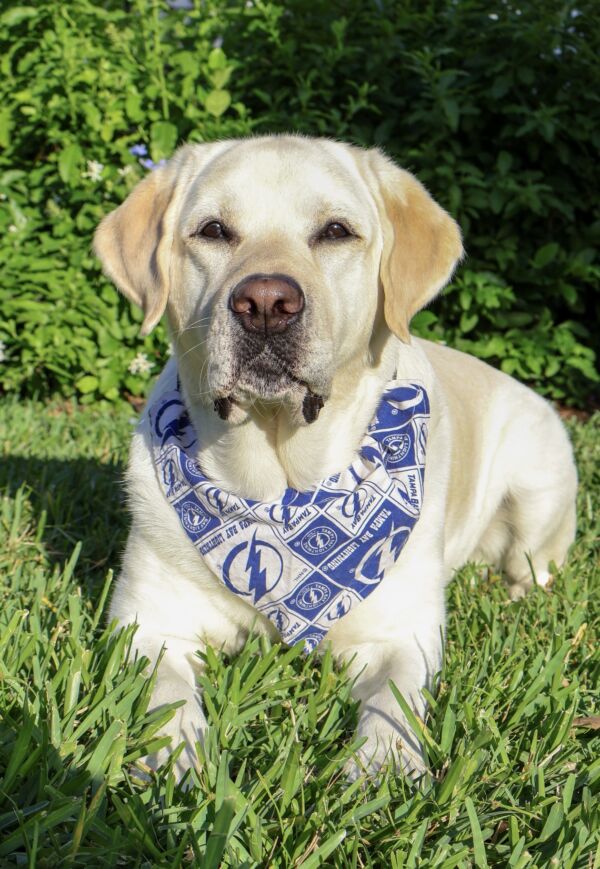 Zeus