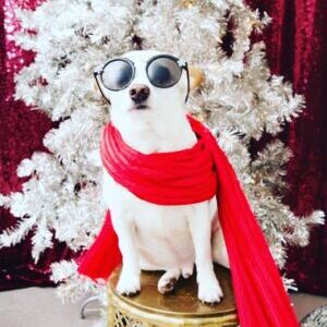 Mr Bill