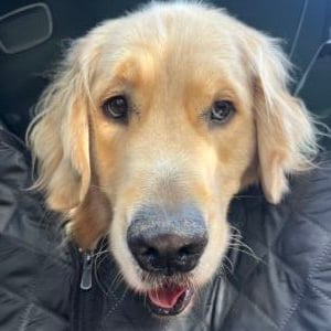 Opie