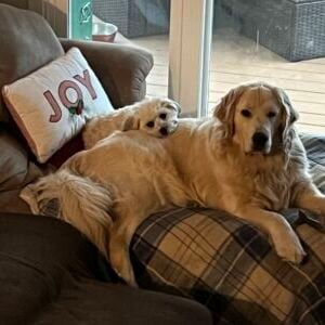 Sophie and Opie
