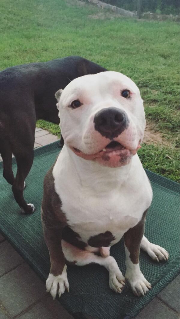 Kona