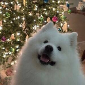 Mishka