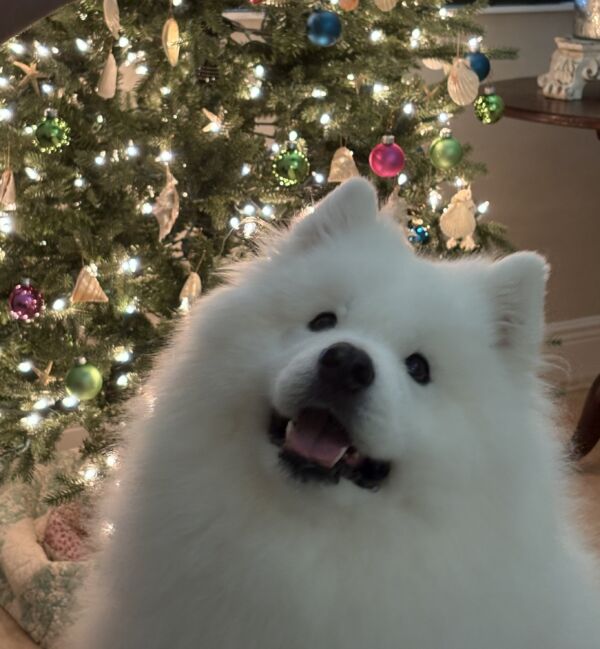 Mishka