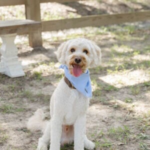 Charlie
