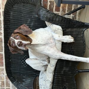 Jack