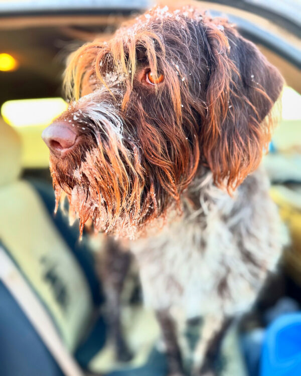 Coco