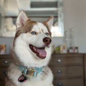 Juneau