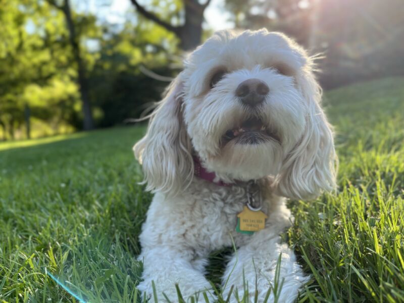 Ellie