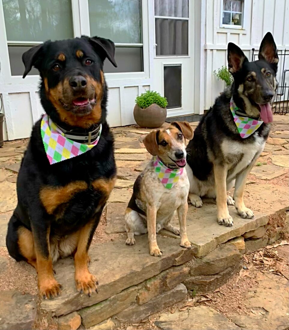 Beulah, Briggs, & Sage, Mix