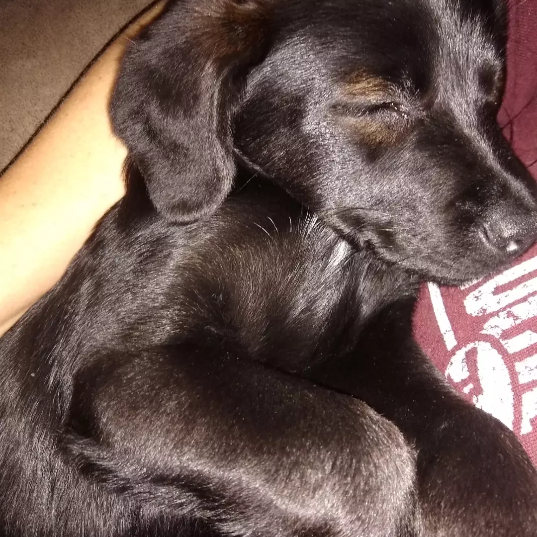 Maggie Mae, Unknown