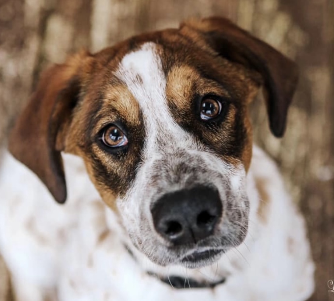 Max, Pointer Mix