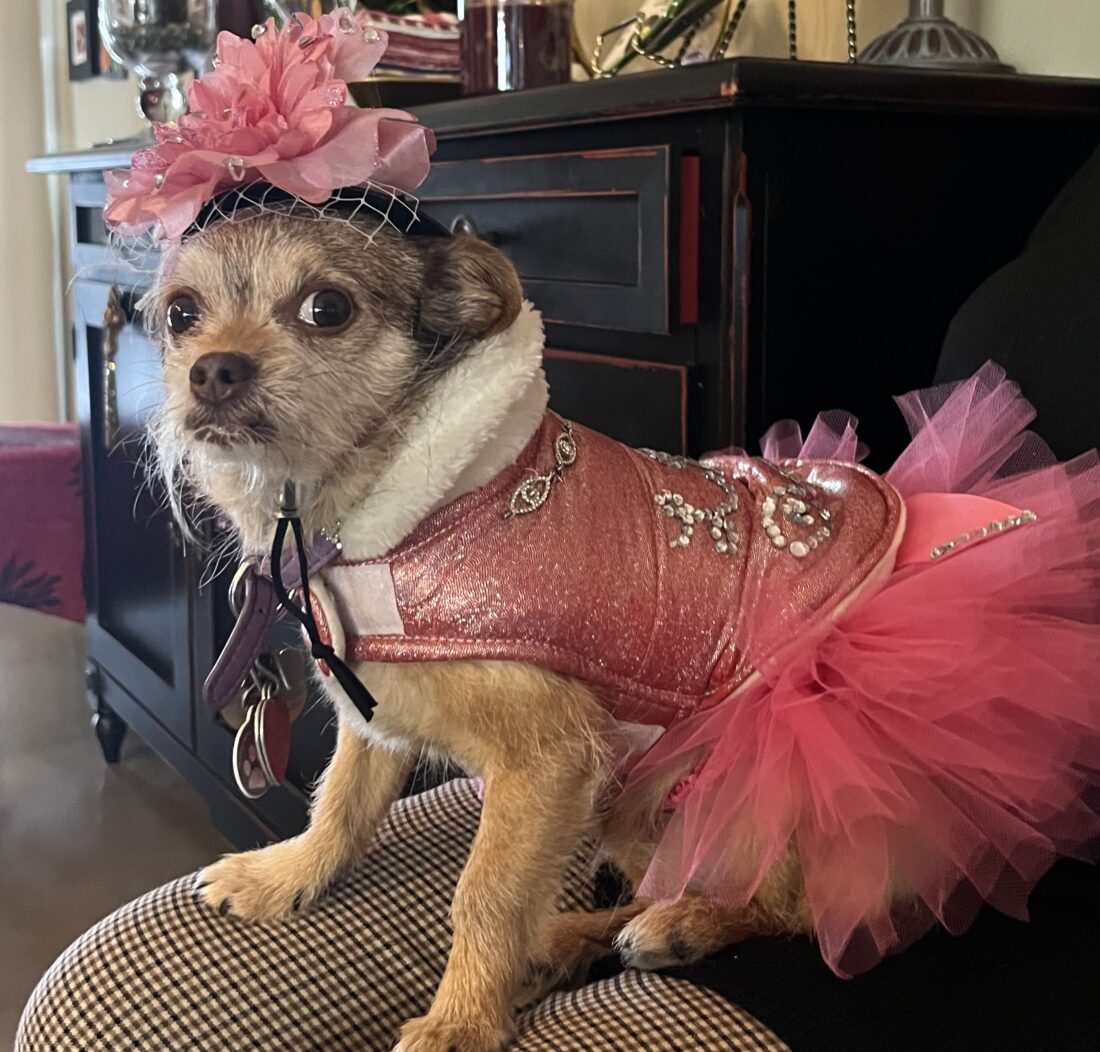 Lady Muses, Party Mix